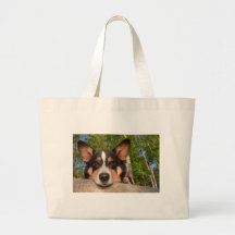 Show Me Sad Bags