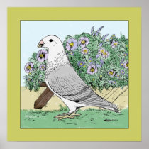 Show Racer and Flowers Colour