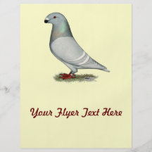 Show Racer Concept Hen Flyers
