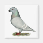Show Racer Concept Hen Magnet