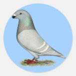 Show Racer Concept Hen Round Stickers