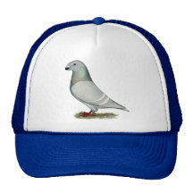 Show Racer Concept Hen Trucker Hat