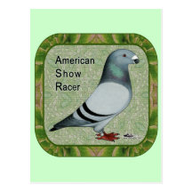 Show Racer Framed Postcards