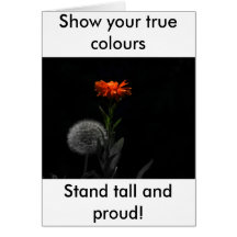 Show your true colours - stand tall and proud! greeting cards