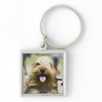 showing tongue, long hair, portrait key chains