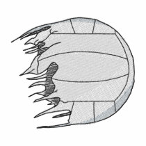 Shredded Volleyball