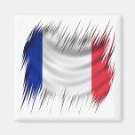 Shredders French Flag Magnets