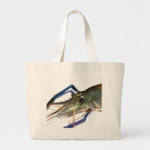 shrimp bags
