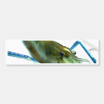 shrimp bumper stickers