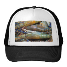 shrimp hats