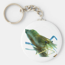 shrimp key chain