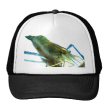 shrimp mesh hats