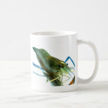 shrimp mugs