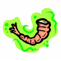 Shrimp