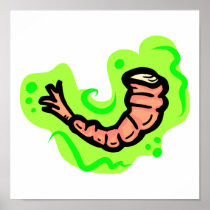 Shrimp