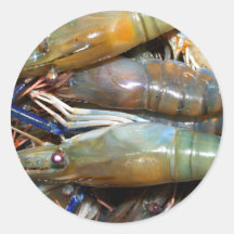 shrimp sticker