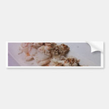 Shrimp Sushi Bumper Sticker