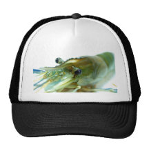 shrimp trucker hat