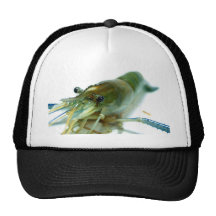 shrimp trucker hat