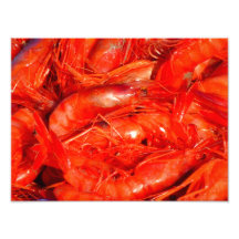 Shrimps Photograph