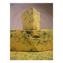 Shropshire Blue cheese Photographic Print