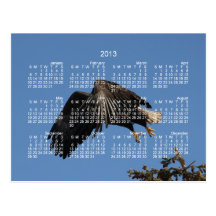 Shrouded by Wings; 2013 Calendar Post Card