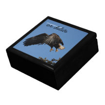 Shrouded by Wings; Customizable Trinket Boxes