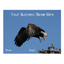 Shrouded by Wings; Promotional Post Cards