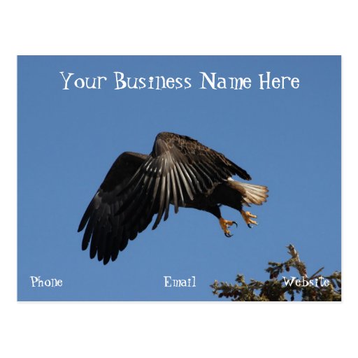 Shrouded by Wings; Promotional Post Cards
