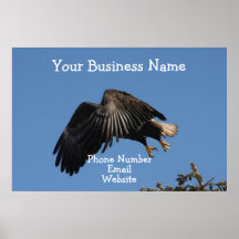 Shrouded by Wings; Promotional Print