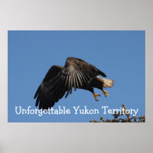 Shrouded by Wings; Yukon Territory Souvenir Posters