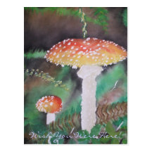 Shrouded Moss - Customized Post Cards