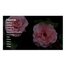 Shrub Rose Roses Business Card Templates