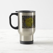 Shrubby plants on pebbles mugs