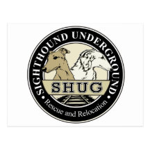 SHUG CARTES POSTALES