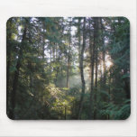 Shuswap evening light mousepads