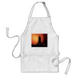 Shuttle silhouette aprons