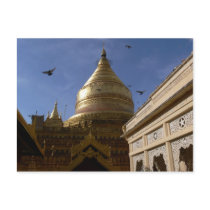Shwe Zigon Pagoda Postcard