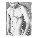 Shy Boy Post Card