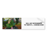 SHY, BUT DETERMINED TO TESTIFY...RELIGIOUS BUMPER BUMPER STICKER