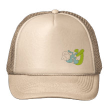 shy cap 6 hat