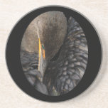shy cormorant drink coasters