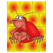 Shy Crab Custom Flyer
