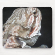 Shy Dragon Mousepads