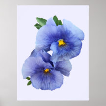 Shy Pansy Couple Posters