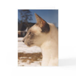 Siamese Blue Point Cat in Snow cards