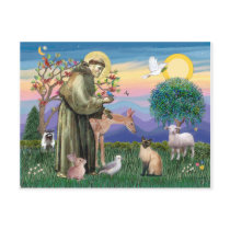 Siamese Cat and St Francis Post Cards