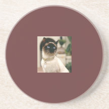 Siamese cat beverage coasters