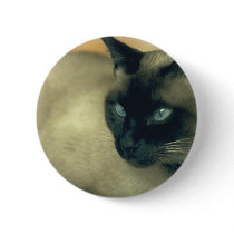 Siamese Cat Pin