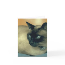 Siamese Cat Cards